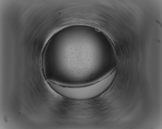 X0000091721531200709071424