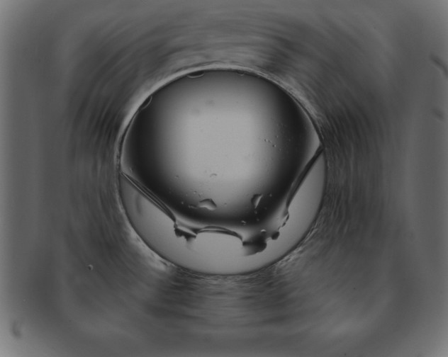 X0000091721532200709071424