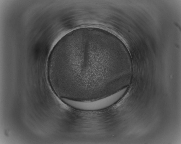 X0000091721533200709071424