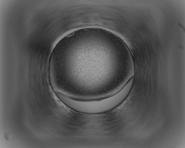 X0000091721534200709071424