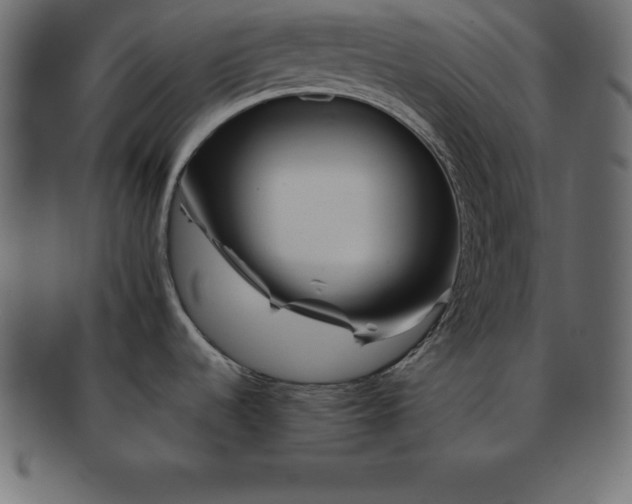 X0000091721536200709071424