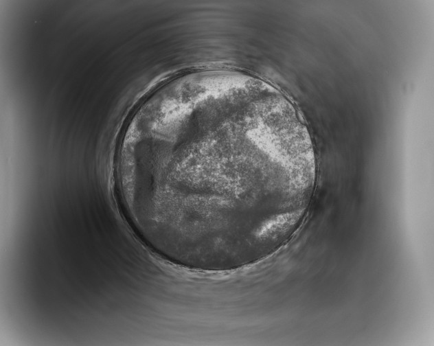 X0000091720002200709141215