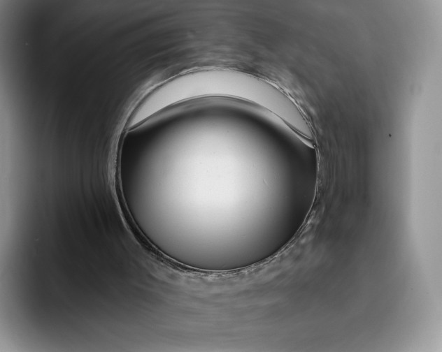 X0000091720003200709141215