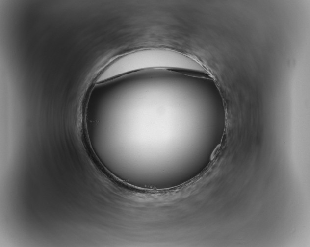 X0000091720005200709141215