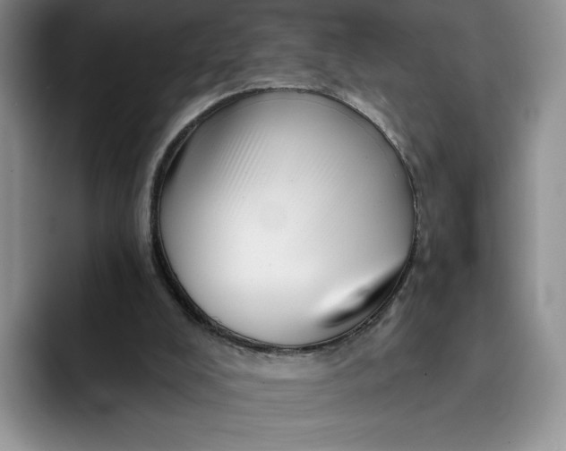 X0000091720008200709141215