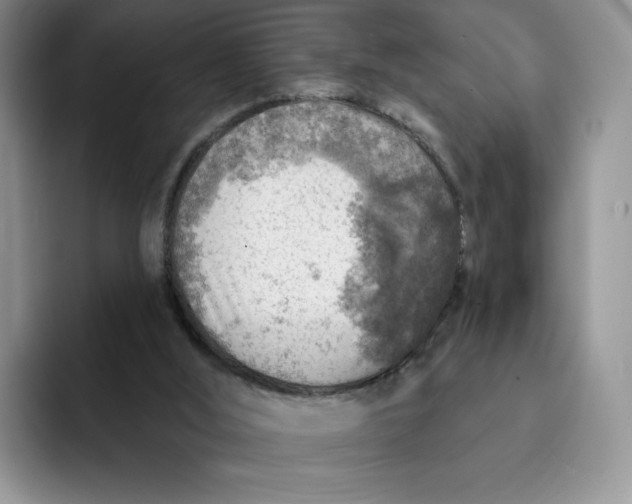 X0000091720012200709141214