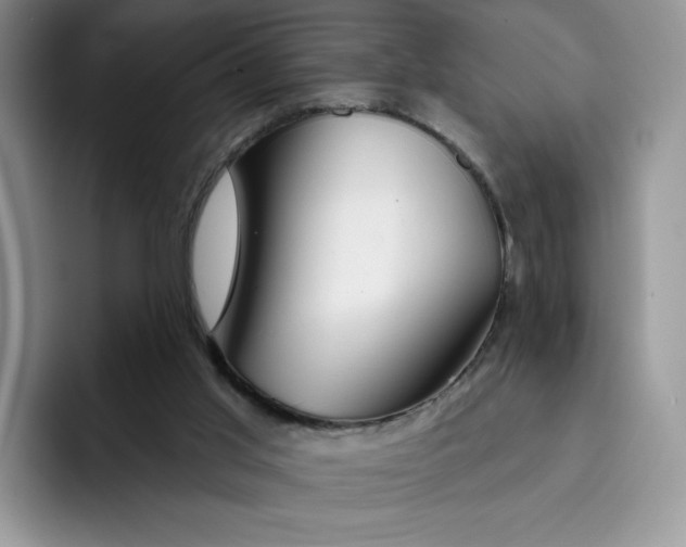 X0000091720013200709141214