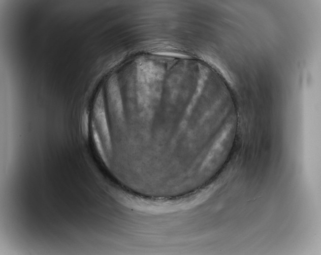 X0000091720014200709141214