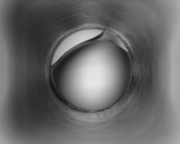 X0000091720015200709141214