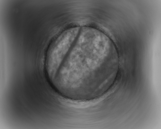 X0000091720018200709141214