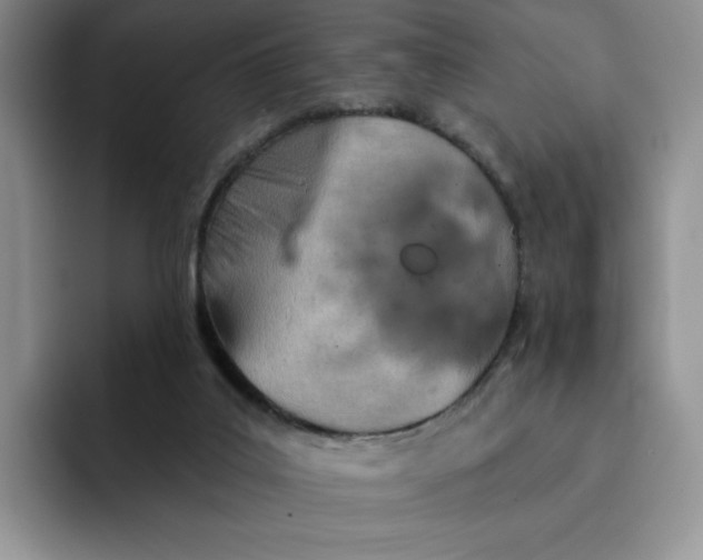 X0000091720019200709141214