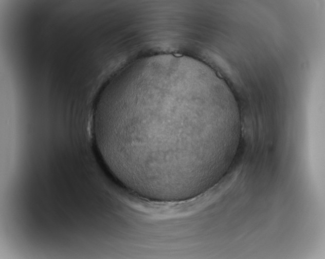 X0000091720023200709141214