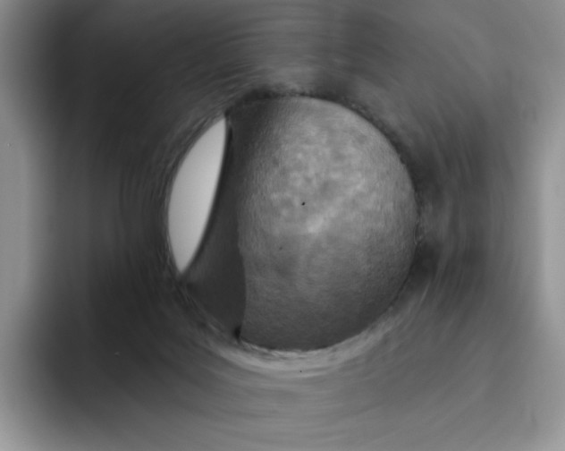 X0000091720027200709141214