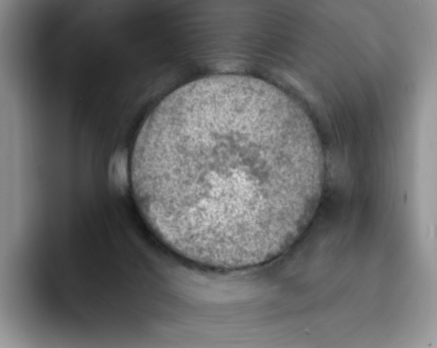 X0000091720028200709141214