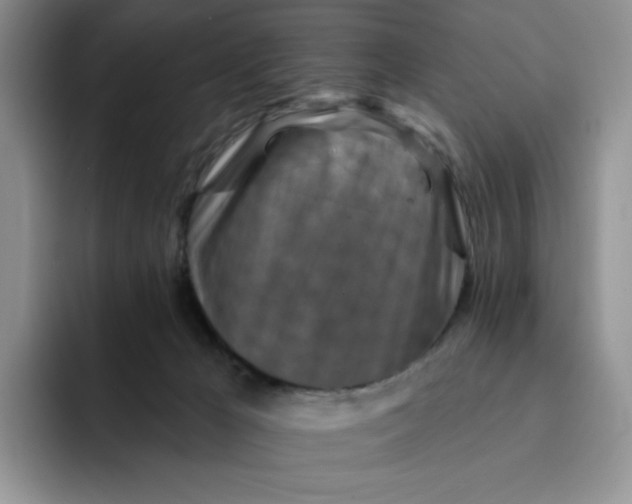 X0000091720029200709141214