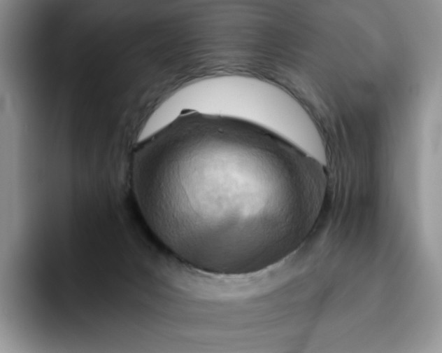 X0000091720031200709141214