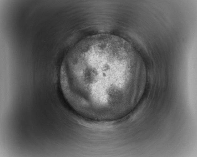 X0000091720032200709141214