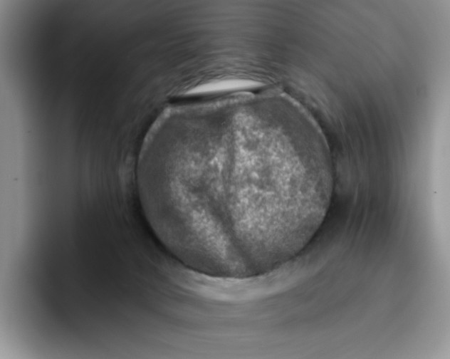 X0000091720034200709141214