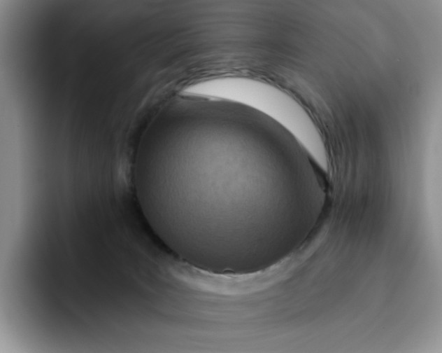 X0000091720035200709141214