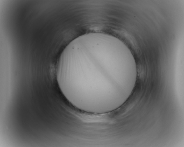 X0000091720036200709141214