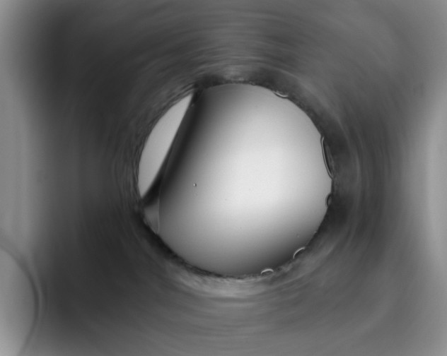 X0000091720044200709141214