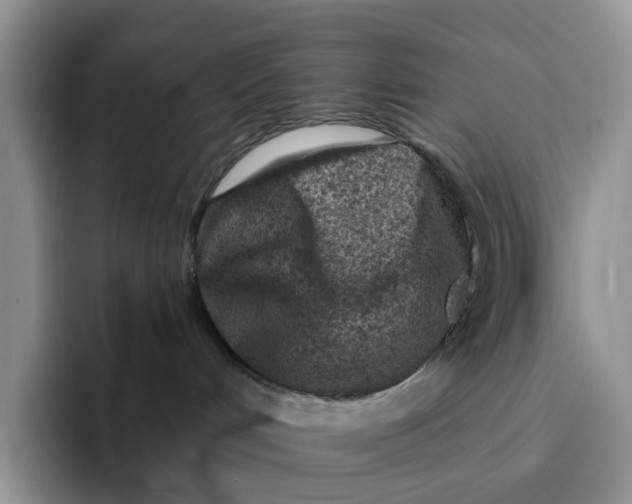 X0000091720048200709141214