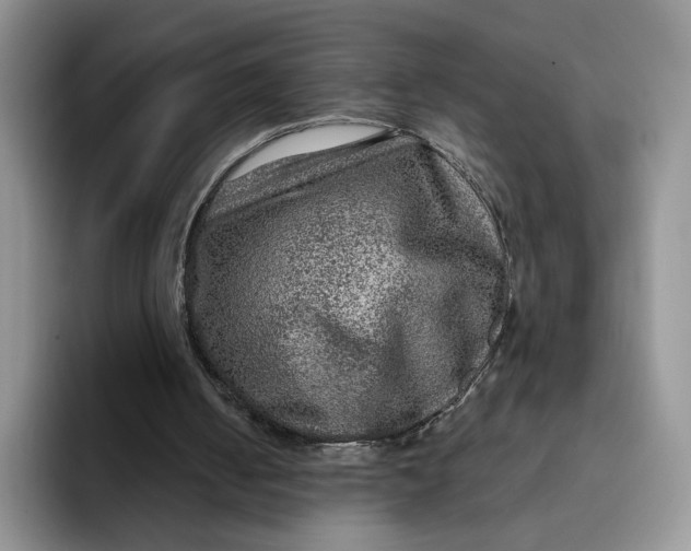 X0000091720050200709141213