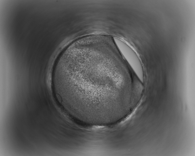 X0000091720055200709141213