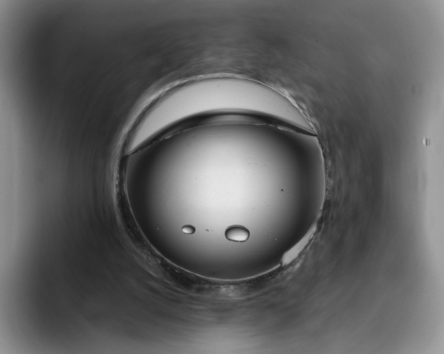 X0000091720056200709141213