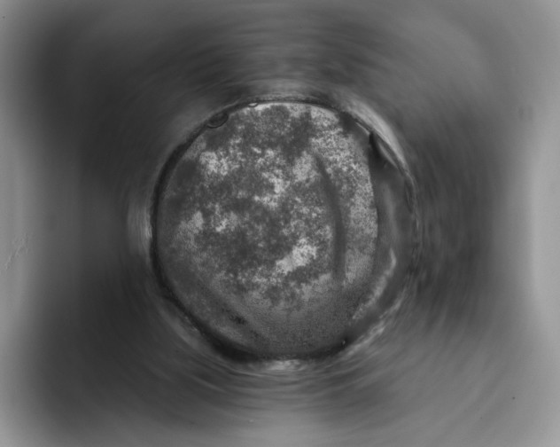 X0000091720059200709141214