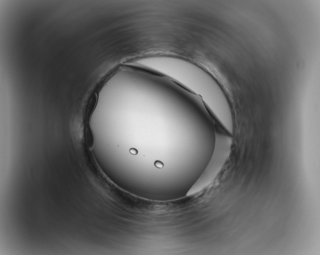 X0000091720060200709141214