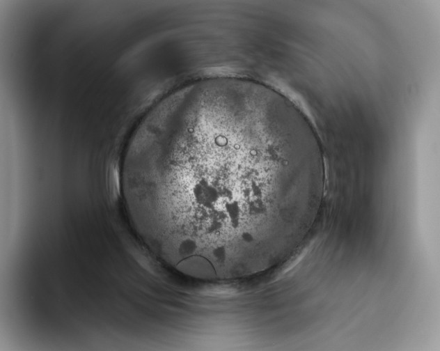 X0000091720061200709141214