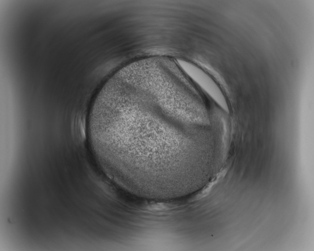 X0000091720062200709141214