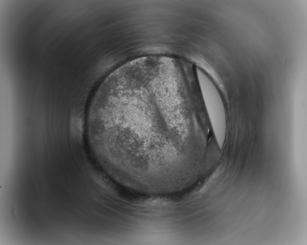 X0000091720063200709141214