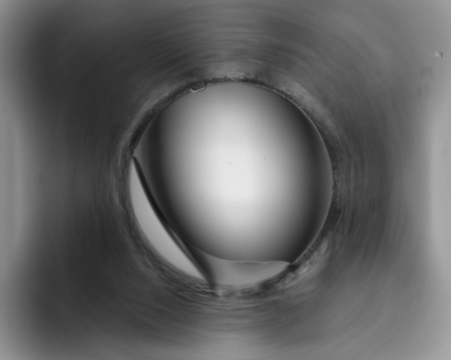 X0000091720064200709141214