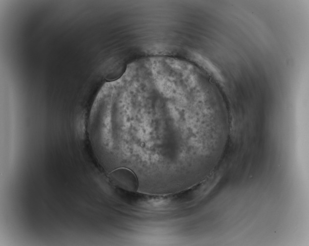 X0000091720065200709141214