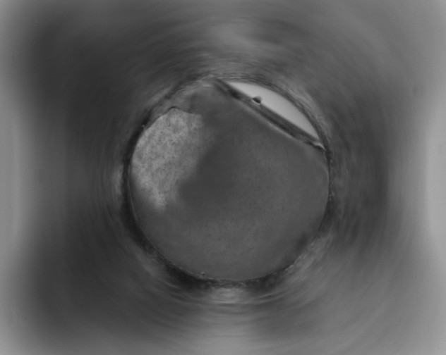 X0000091720066200709141214