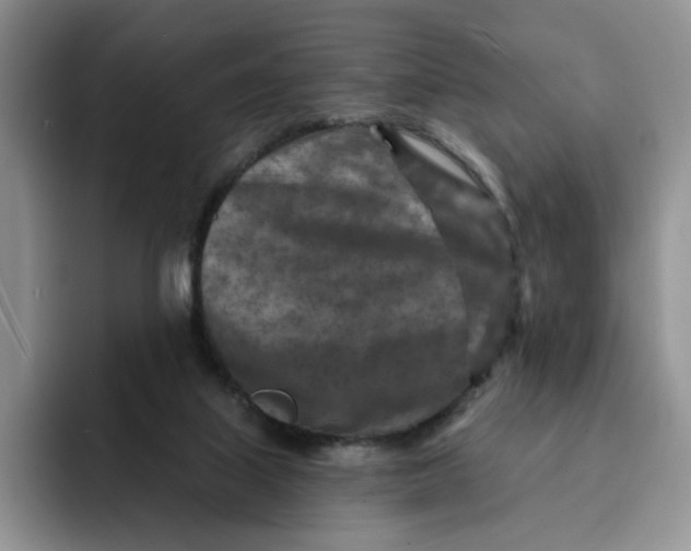 X0000091720067200709141214