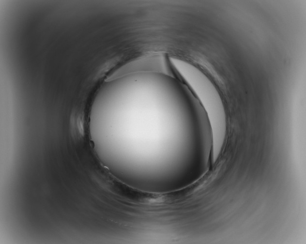 X0000091720068200709141214