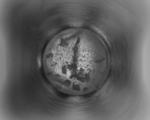 X0000091720069200709141214