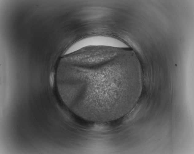 X0000091720070200709141214