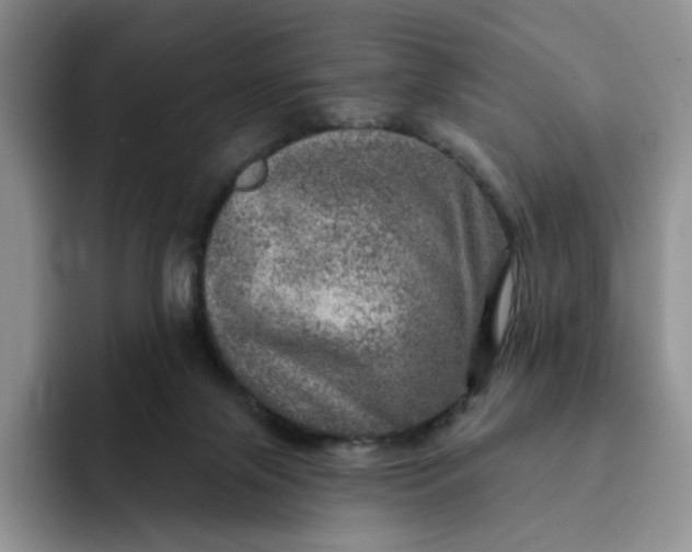 X0000091720071200709141214