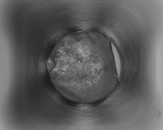 X0000091720073200709141214