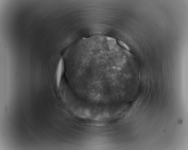 X0000091720076200709141214