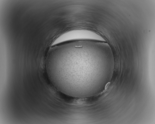 X0000091720078200709141214