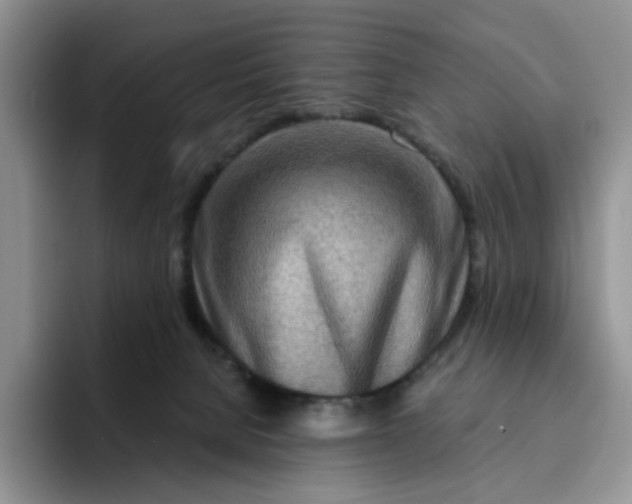 X0000091720080200709141214