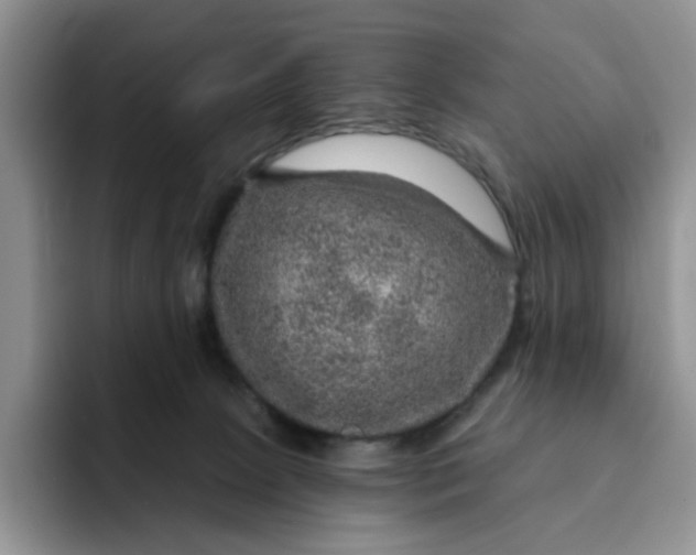 X0000091720081200709141214