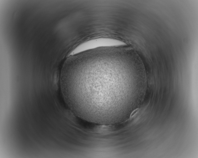 X0000091720082200709141214