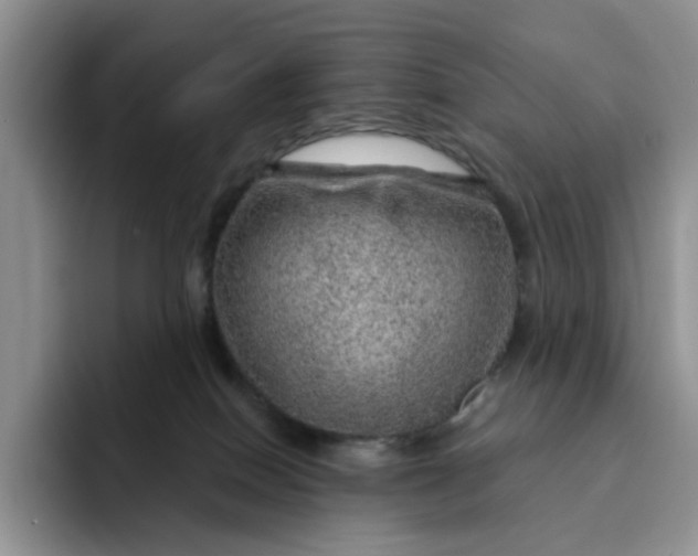 X0000091720086200709141214