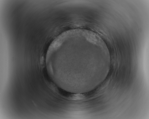 X0000091720087200709141214